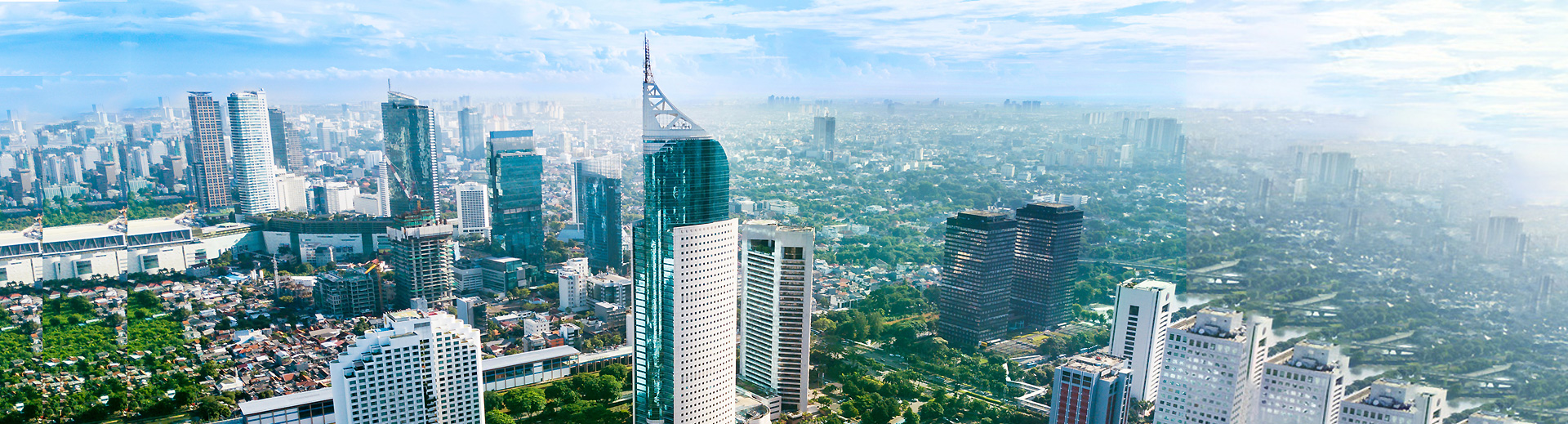 海外 / 事業投資